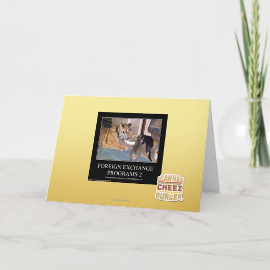 外貨プログラム2 プログラム (正面)