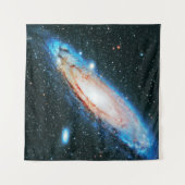 外部空間 タペストリー (正面)