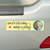 外部#2バンパーステッカーを採用して下さい バンパーステッカー (車上)