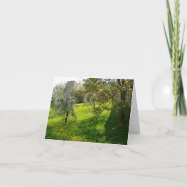 外部San Gimignano壁グリーティングカード 案内状