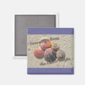 外銀の貝殻からの挨拶 マグネット (正面/裏面)