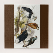 外陰部 ジグソーパズル (横)