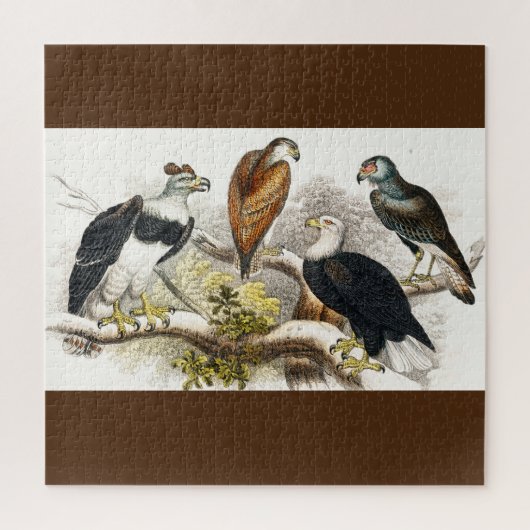 外陰部 ジグソーパズル (縦)