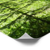 外飛んでいる屋 ポスター (角)