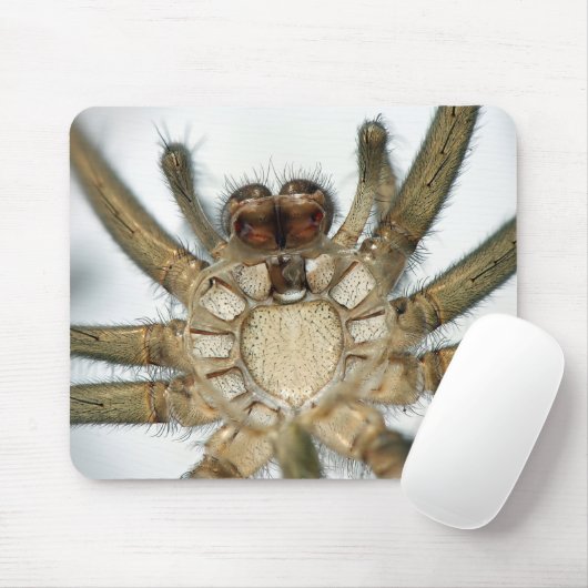 外骨格のくも マウスパッド (マウス)
