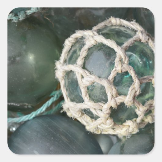 多くのガラス魚釣り、アラスカ スクエアシール (正面)