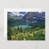 多くのグラインネル湖の上のbeargrass ポストカード (正面/裏面)