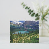 多くのグラインネル湖の上のbeargrass ポストカード (スタンド正面)