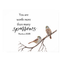 多くのスズメよりも価値のある水の色プリント