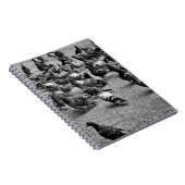 多くのハトの白黒の写真 ノートブック (右側)