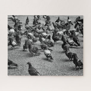 多くのハトの白黒写真撮影 ジグソーパズル