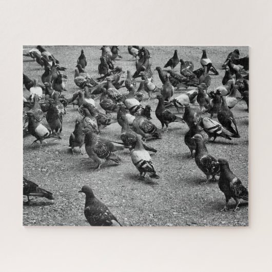多くのハトの白黒写真撮影 ジグソーパズル (横)