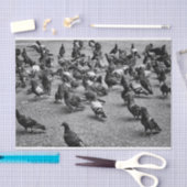多くのハトの白黒写真撮影 薄葉紙 (クラフト)