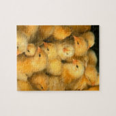 多くのベビーのひよこの鶏 ジグソーパズル (横)