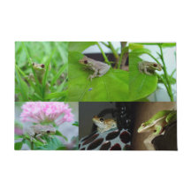 多くのベビーのアマガエルの玄関マット