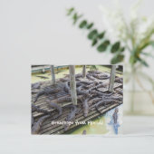 多くのベビー ポストカード (スタンド正面)