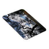 多くの不気味木 マグネット (右側)