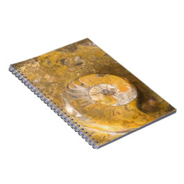 多くの化石及びアンモナイトの写真を含んでいる石 ノートブック