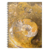 多くの化石及びアンモナイトの写真を含んでいる石 ノートブック (正面)