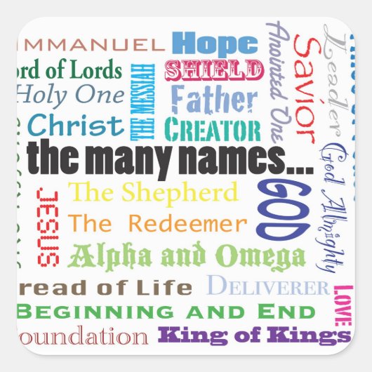 多くの名前…シール スクエアシール (正面)