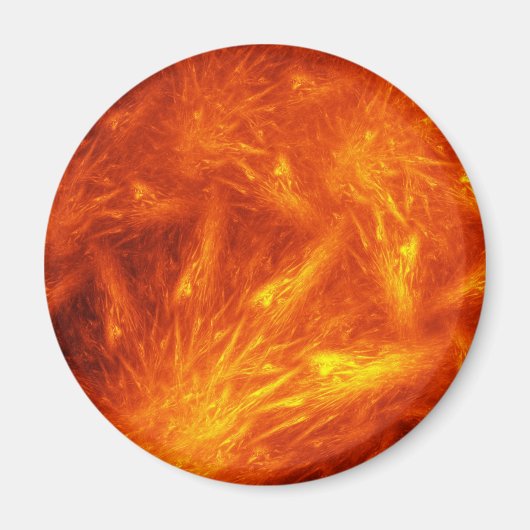 . .多くの太陽の長の物語 マグネット (正面)