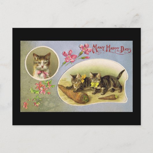 多くの幸せな日 ポストカード (正面)