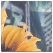 多くの晴れたヒマワリ….. ファブリック (クローズアップ)