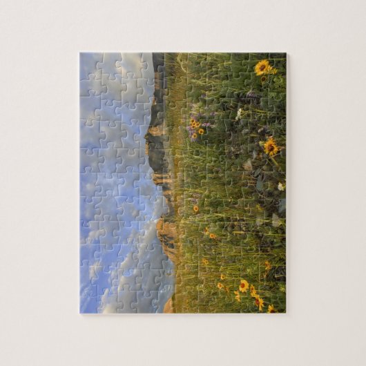 多くの氷河渓谷にあるプレーリー山の花 ジグソーパズル (縦)