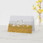 多くの白鷺の空白のなメッセージカード カード (黄色い花)