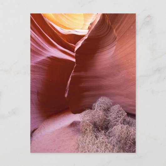 多くの色の峡谷 ポストカード (正面)