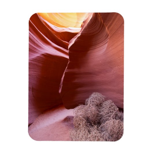 多くの色の峡谷 マグネット (縦)