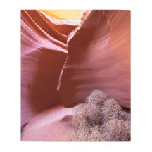 多くの色の峡谷