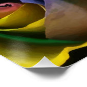 多くの色来で愛レインボーバラポスター ポスター (コーナー)