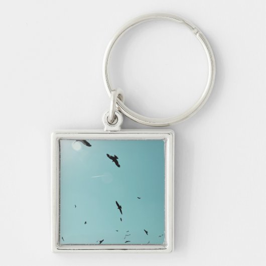 多くの鳥とコントレイル キーホルダー (正面)