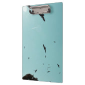 多くの鳥とコントレイル クリップボード (左)