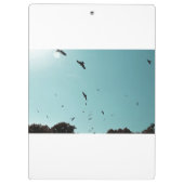 多くの鳥とコントレイル クリップボード (裏面)