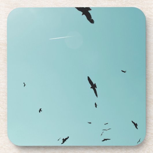 多くの鳥とコントレイル コースター (正面)