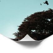 多くの鳥とコントレイル ポスター (コーナー)