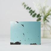 多くの鳥とコントレイル ポストカード (スタンド正面)
