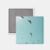 多くの鳥とコントレイル マグネット (正面/裏面)