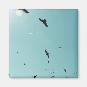 多くの鳥とコントレイル マグネット (正面)