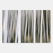 多くの《植物》アスペンの木 ラッピングペーパーシート (正面2)