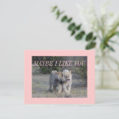 多分 ポストカード (スタンド正面)