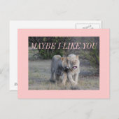 多分 ポストカード (正面/裏面)