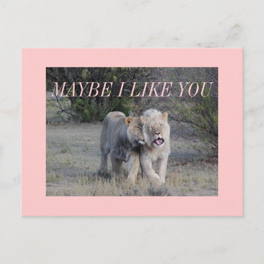 多分 ポストカード (正面)