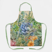 多品種の多肉植物 エプロン (正面)