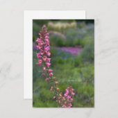 多年生の庭の花見草 ノートカード (正面/裏面)