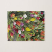 多彩なチューリップの束 ジグソーパズル (横)