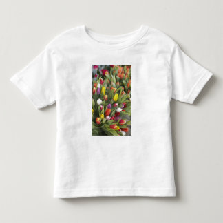 多彩なチューリップの束 トドラーTシャツ