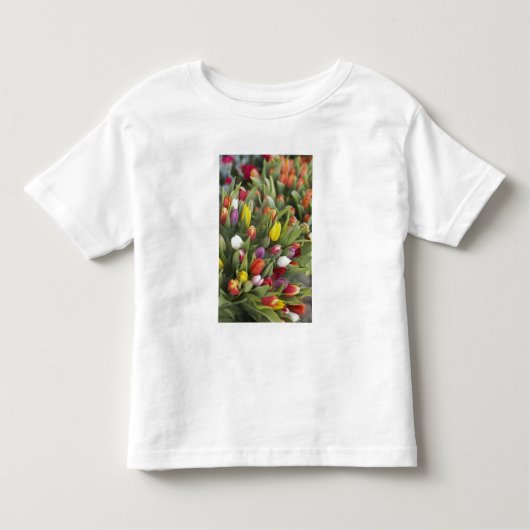 多彩なチューリップの束 トドラーTシャツ (正面)